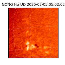 gong - 2025-03-05T05:02:02