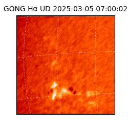 gong - 2025-03-05T07:00:02