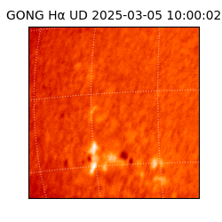 gong - 2025-03-05T10:00:02