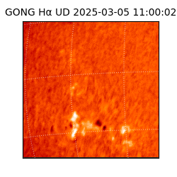 gong - 2025-03-05T11:00:02