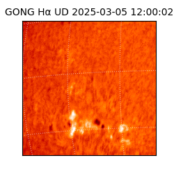 gong - 2025-03-05T12:00:02