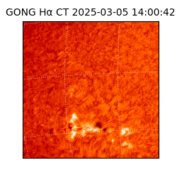 gong - 2025-03-05T14:00:42