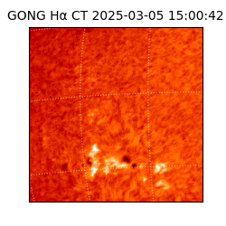 gong - 2025-03-05T15:00:42