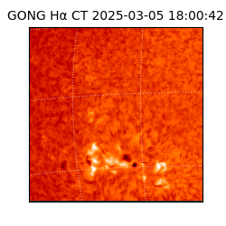 gong - 2025-03-05T18:00:42