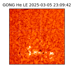 gong - 2025-03-05T23:09:42