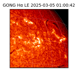 gong - 2025-03-05T01:00:42