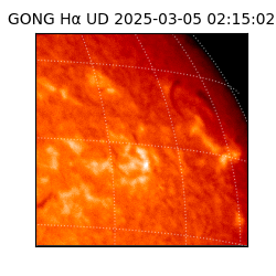 gong - 2025-03-05T02:15:02