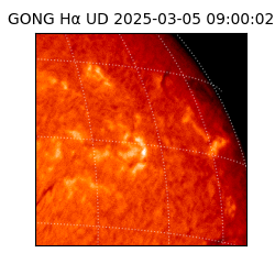 gong - 2025-03-05T09:00:02