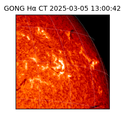 gong - 2025-03-05T13:00:42