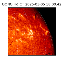 gong - 2025-03-05T18:00:42
