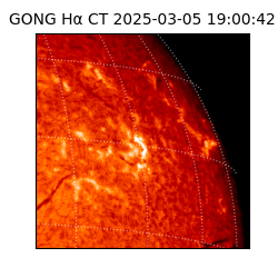 gong - 2025-03-05T19:00:42