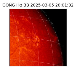 gong - 2025-03-05T20:01:02