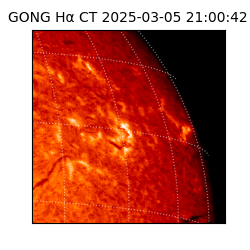 gong - 2025-03-05T21:00:42