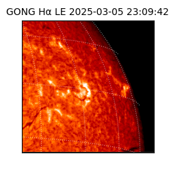 gong - 2025-03-05T23:09:42