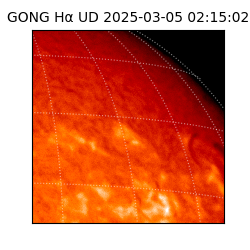 gong - 2025-03-05T02:15:02