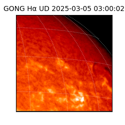 gong - 2025-03-05T03:00:02