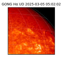 gong - 2025-03-05T05:02:02