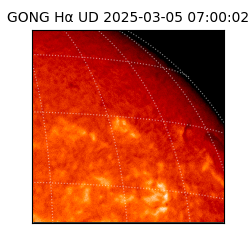 gong - 2025-03-05T07:00:02