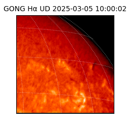 gong - 2025-03-05T10:00:02