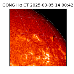 gong - 2025-03-05T14:00:42