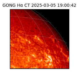 gong - 2025-03-05T19:00:42