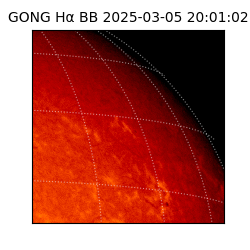 gong - 2025-03-05T20:01:02