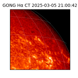 gong - 2025-03-05T21:00:42