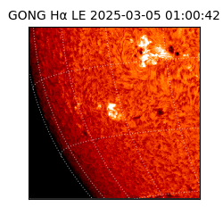 gong - 2025-03-05T01:00:42