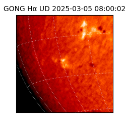 gong - 2025-03-05T08:00:02