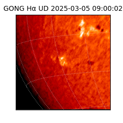 gong - 2025-03-05T09:00:02