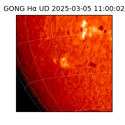 gong - 2025-03-05T11:00:02