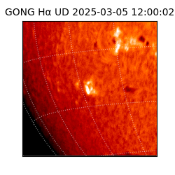 gong - 2025-03-05T12:00:02