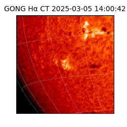 gong - 2025-03-05T14:00:42