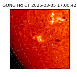 gong - 2025-03-05T17:00:42