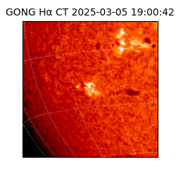 gong - 2025-03-05T19:00:42