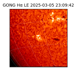 gong - 2025-03-05T23:09:42