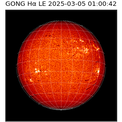 gong - 2025-03-05T01:00:42