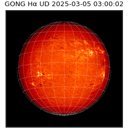 gong - 2025-03-05T03:00:02