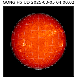 gong - 2025-03-05T04:00:02