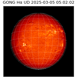 gong - 2025-03-05T05:02:02