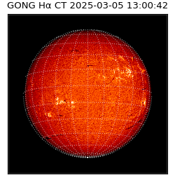 gong - 2025-03-05T13:00:42