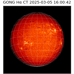 gong - 2025-03-05T16:00:42