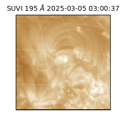 suvi - 2025-03-05T03:00:37.278000