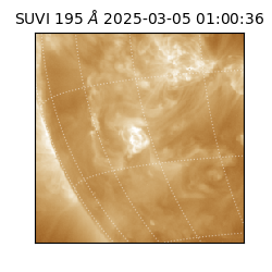 suvi - 2025-03-05T01:00:36.982000