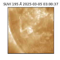 suvi - 2025-03-05T03:00:37.278000