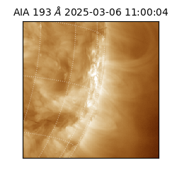 saia - 2025-03-06T11:00:04.843000