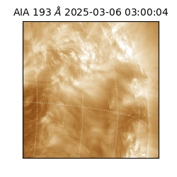 saia - 2025-03-06T03:00:04.843000