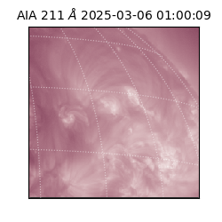 saia - 2025-03-06T01:00:09.632000