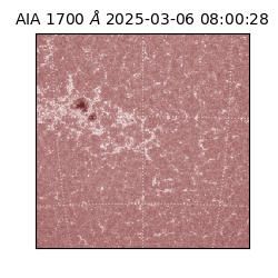 saia - 2025-03-06T08:00:28.720000