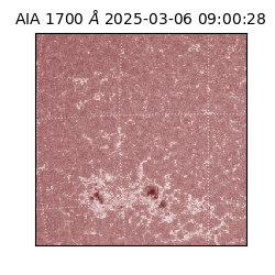 saia - 2025-03-06T09:00:28.729000